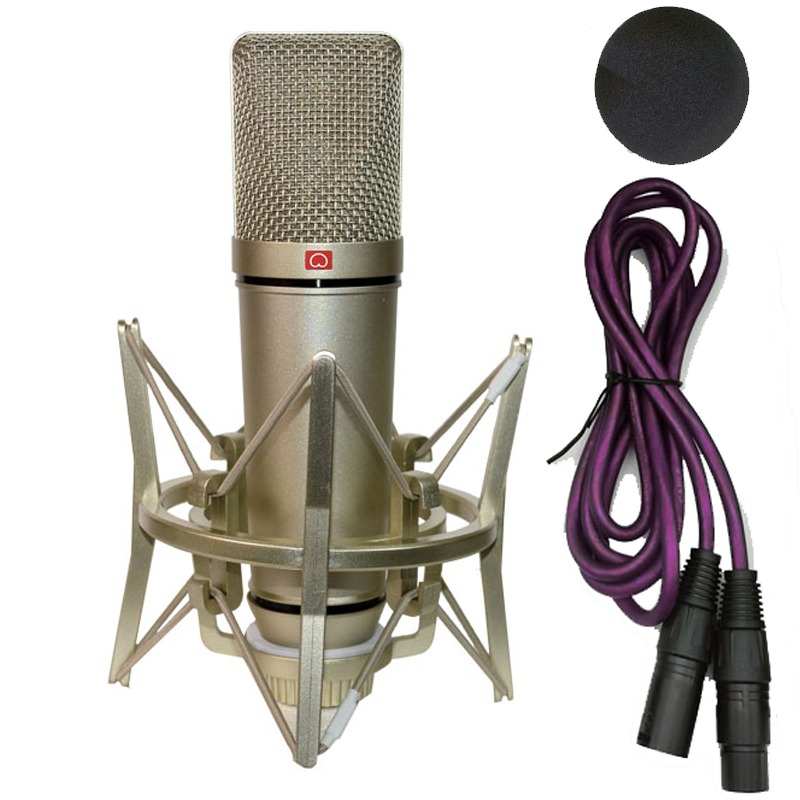 Shure Mic Sm58 - Microfono a condensatore professionale per PC